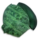 Thick Cut Tortillas - Jungle Green