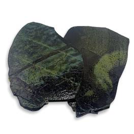 Tortillas - Lime Green