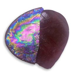 Tortillas - Iridized Blood Red