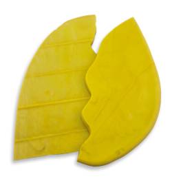 Tortillas - Lime Green