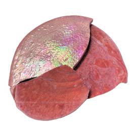 Thick Cut Tortillas - Iridized Pink