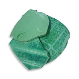 Thick Cut Tortillas - Meadow Green