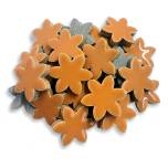 Blossom Collection - BL-12 Tiger Lily