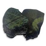 Tortillas - Lime Green